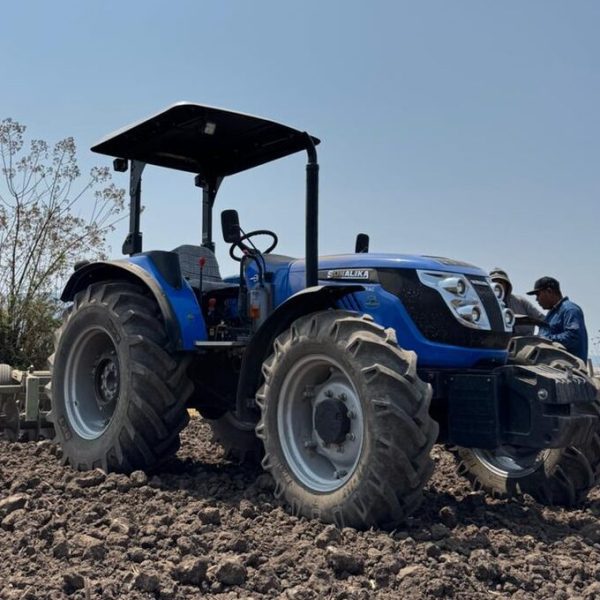 WhatsApp Image 2026-02-26 at 19.11.36